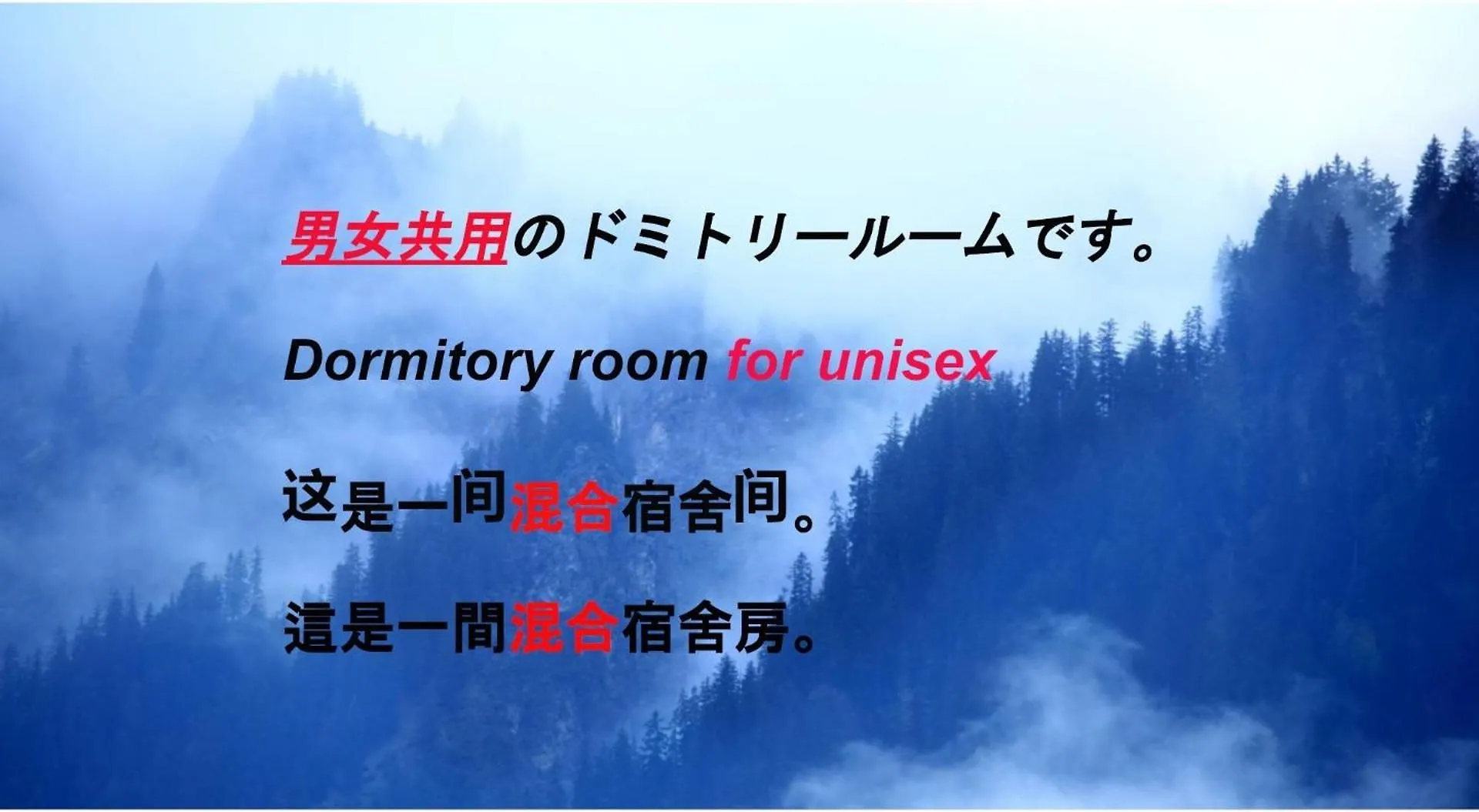 Hostel198 Bunk Bed For Unisexーvacation Stay68108V Osaka